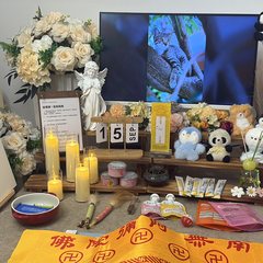 宠物家长客户见证