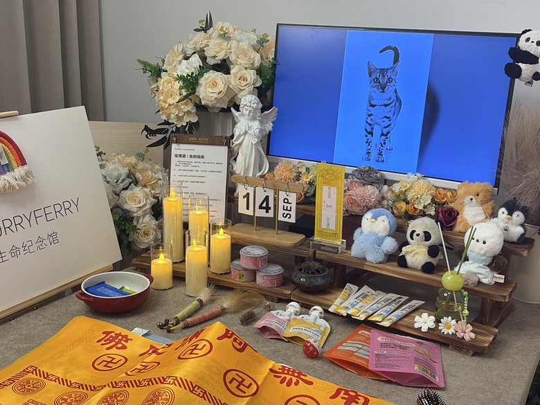 宠物纪念相册与追思布置