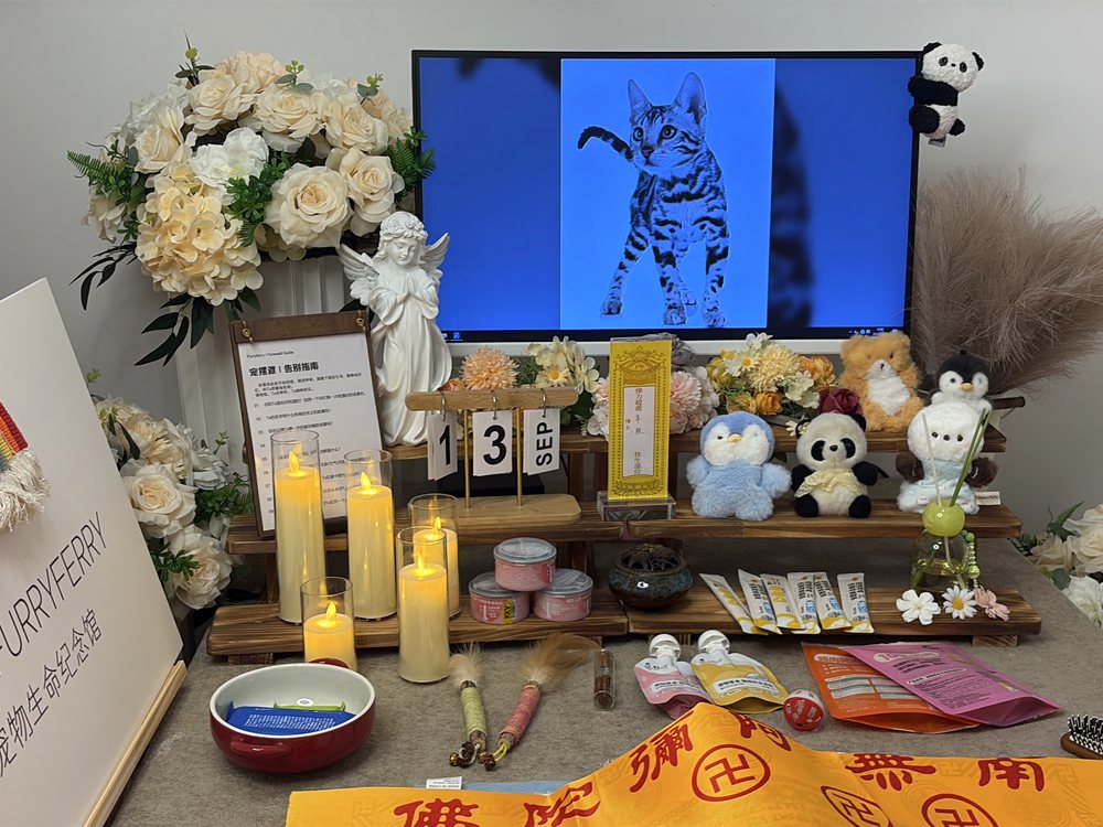 宠物告别仪式现场布置